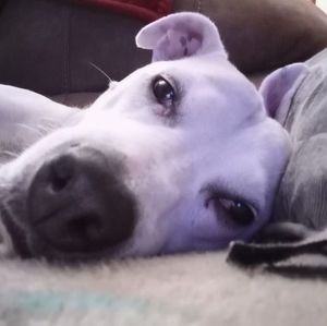 Meet your Posher, Drew